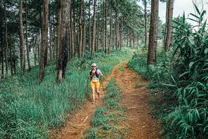 BIB: 
                            <button type="button" onclick="openModal(25689370)" class="btn btn-primary btn-sm float-right btn-popup" data-toggle="modal" data-target=".modal-high-quality">
                        <i class="fas fa-shopping-cart"></i> Add to Cart
                    </button>
                                            <button type="button" onclick="isThisMe(25689370, true)" class="btn btn-success btn-sm float-right btn-popup btn-isme hidden" data-toggle="tooltip" data-placement="bottom" title="นี่คือรูปของคุณใช่ไหม คลิกที่นี่เพื่อเอาเข้าอัลบั้ม">
                        <i class="fas fa-plus"></i> Add to album
                    </button>
                    <button type="button" onclick="isThisMe(25689370, false)" class="btn btn-warning btn-sm float-right btn-popup btn-isnotme hidden">
                        <i class="fas fa-ban"></i> Remove from album
                    </button>